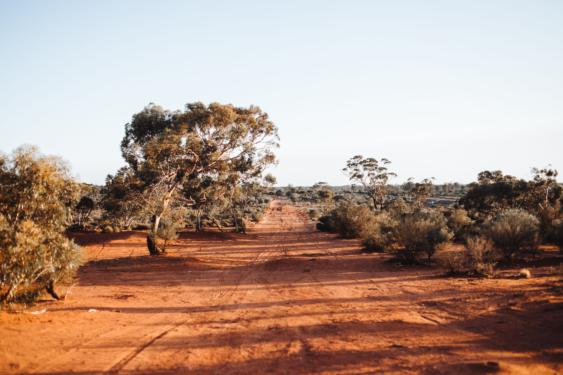 Land clearing and vegetation management in Ballarat, Central Highlands