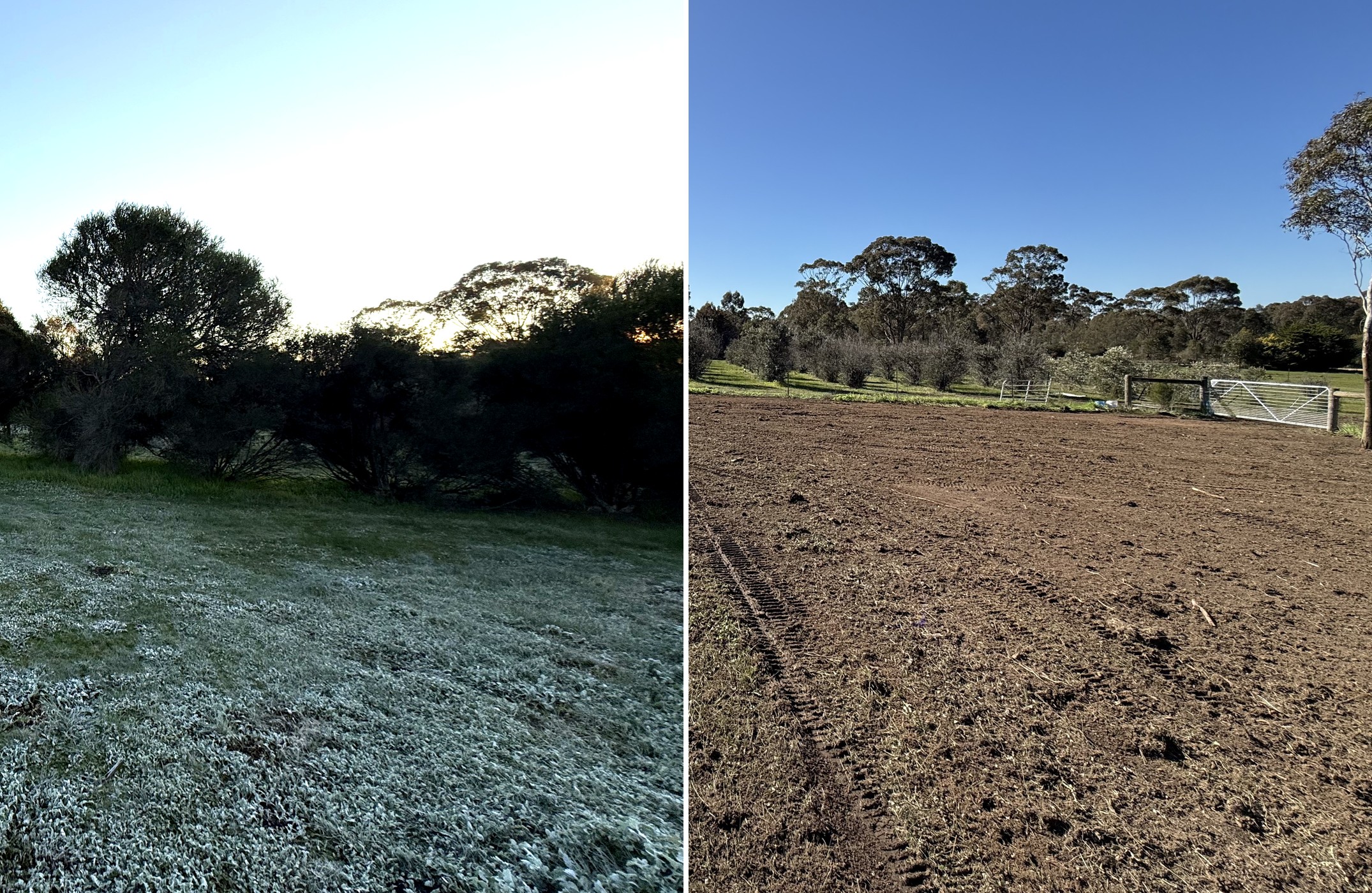 Asset Protection Zones & Fire Season Prep