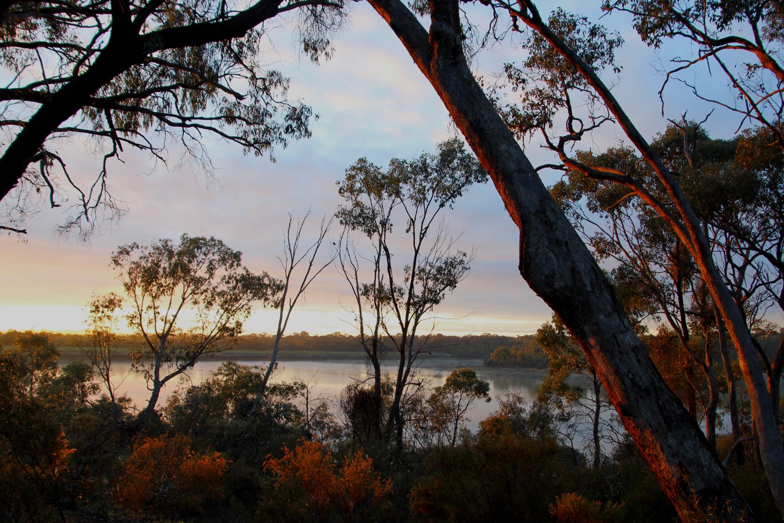 Land clearing and vegetation management in Gisborne, Central Victoria