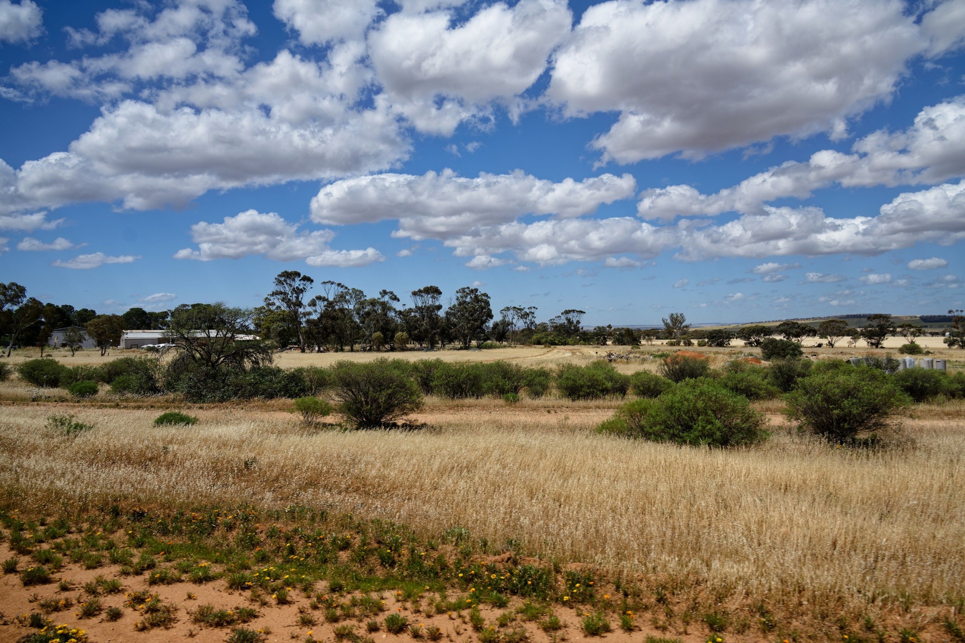Land clearing and vegetation management in Rochester, Northern Central Victoria
